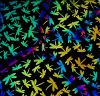90 Pre Made Etched Pattern #089 Dragonflies, Cool Lava Dichroic on Thin Black Glass