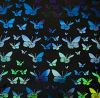 90 Pre Made Etched Pattern #094 Small Butterflies, Aurora Borealis Mixture Dichroic on Thin Black Glass
