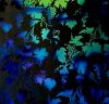 90 Pre Made Etched Pattern #095 Grapes, Fusion Blue Gold Dichroic on Thin Clear Glass