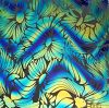 90 Pre Made Etched Pattern #194 Tripin' Sunflowers, Twizzle Cyan Copper Dichroic on Thin Clear Glass