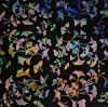 96 Pre Made Etched Pattern #104 Small Ginkgo, Fusion Mixture Dichroic on System 96 Thin Black  Glass