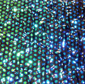 96 Dot 2 on Ripple Clear