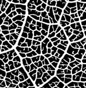 96 Etched Pattern #108 on Thin