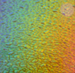 COE 96 Fancy Textures