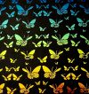 96 Pre Made Etched Pattern #094 Small Butterflies, RBD Candy #1 Dichroic on Thin Black Glass