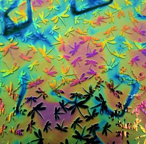 90 Sand Carved Pattern #089 Dragonflies, Fusion Green Magenta Dichroic on Spring Glass