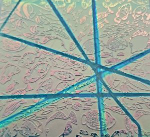 90 Sand Carved Pattern #197 School of Fish, Pixie Stix Salmon Dichroic on Lt Aqua Glass