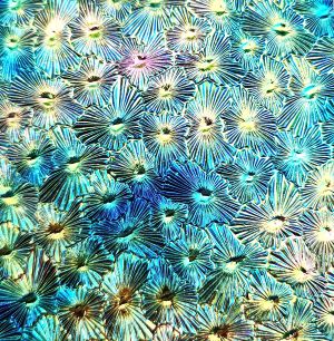 90 Aurora Borealis Green Pink Dichroic on Florentine Thin Glass