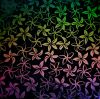 90 Pre Made Etched Pattern #207 Pointed Plumeria , Mixture Dichroic on Thin Black Glass