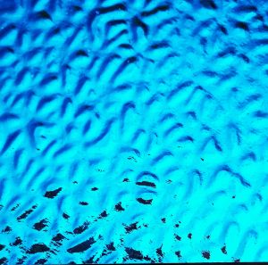 90 Pink Teal Dichroic on English Muffle Thin Clear Glass