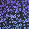 96 Pre Made Etched Pattern #127 Cherry Blossom, Crinkle Purple CBS Dichroic on Thin Black Glass