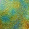 90 Crinklized Aurora Borealis Cyan Copper Dichroic on Dew Drop Thin Glass