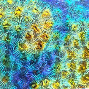 90 Aurora Borealis Cyan Red Dichroic on Florentine Thin Clear Glass