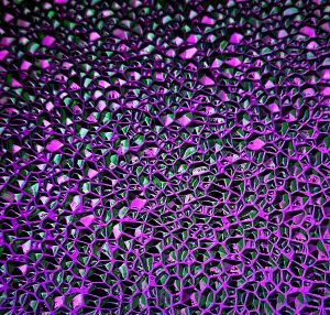 90 Crinklized Purple CBS Dichroic on Dew Drop Thin Black Glass