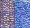 96 Specialty Voltage Red Silver Blue Dichroic on Sapphire Fipple Glass